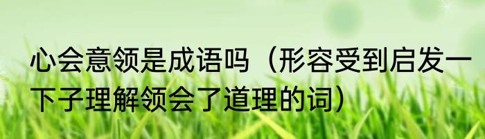 心会意领是成语吗（形容受到启发一下子理解领会了道理的词）