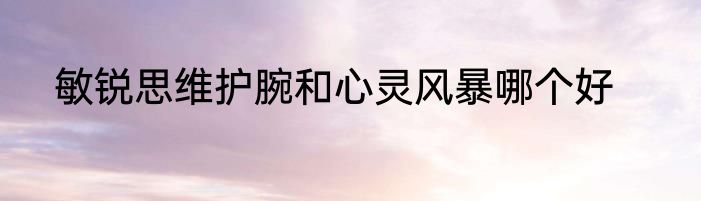 敏锐思维护腕和心灵风暴哪个好