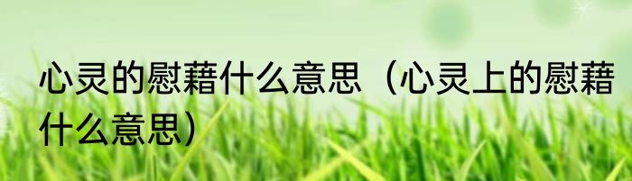 心灵的慰藉什么意思（心灵上的慰藉什么意思）