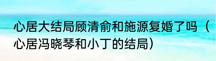心居大结局顾清俞和施源复婚了吗（心居冯晓琴和小丁的结局）