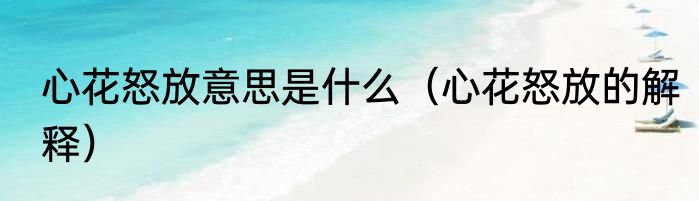 心花怒放意思是什么（心花怒放的解释）