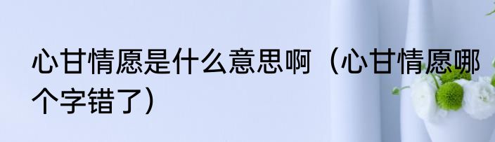 心甘情愿是什么意思啊（心甘情愿哪个字错了）