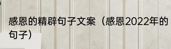 感恩的精辟句子文案（感恩2022年的句子）