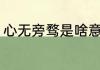 心无旁骛是啥意思（心无旁骛意思是）