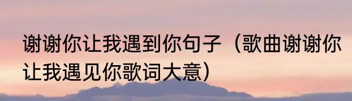 谢谢你让我遇到你句子（歌曲谢谢你让我遇见你歌词大意）