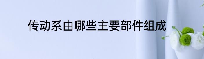 传动系由哪些主要部件组成