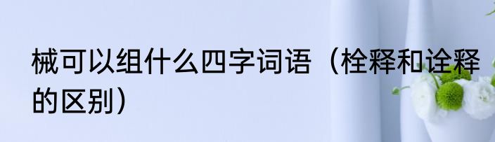 械可以组什么四字词语（栓释和诠释的区别）