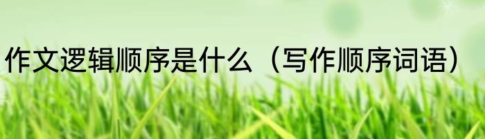 作文逻辑顺序是什么（写作顺序词语）