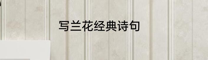 写兰花经典诗句