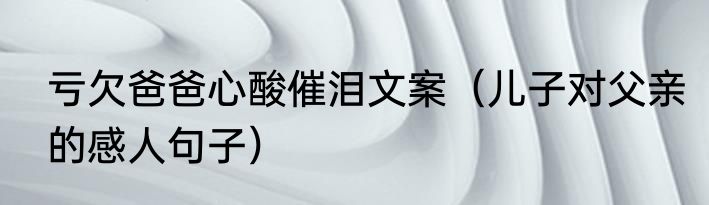 亏欠爸爸心酸催泪文案（儿子对父亲的感人句子）