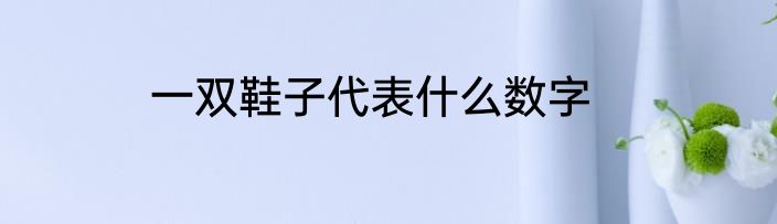 一双鞋子代表什么数字