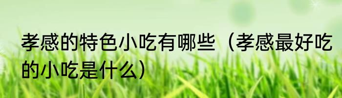 孝感的特色小吃有哪些（孝感最好吃的小吃是什么）