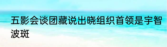 五影会谈团藏说出晓组织首领是宇智波斑