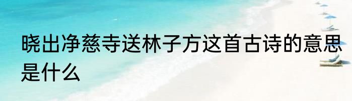 晓出净慈寺送林子方这首古诗的意思是什么