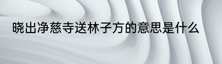 晓出净慈寺送林子方的意思是什么