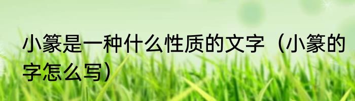 小篆是一种什么性质的文字（小篆的字怎么写）
