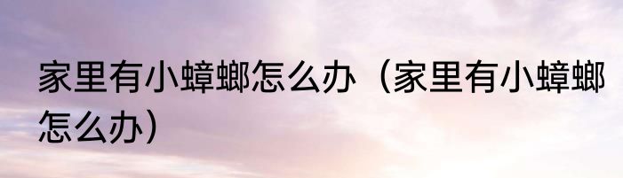 家里有小蟑螂怎么办（家里有小蟑螂怎么办）