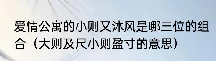 爱情公寓的小则又沐风是哪三位的组合（大则及尺小则盈寸的意思）