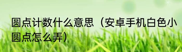 圆点计数什么意思（安卓手机白色小圆点怎么弄）