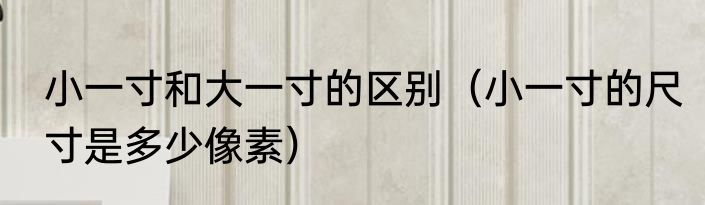 小一寸和大一寸的区别（小一寸的尺寸是多少像素）
