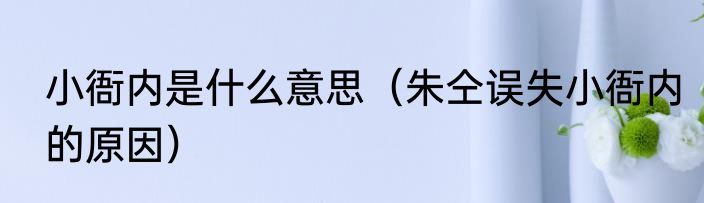 小衙内是什么意思（朱仝误失小衙内的原因）