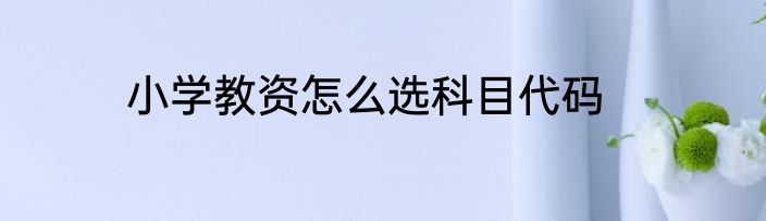 小学教资怎么选科目代码