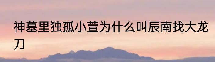 神墓里独孤小萱为什么叫辰南找大龙刀