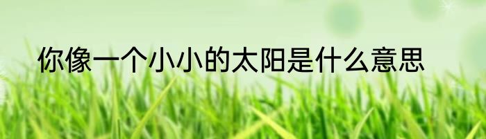 你像一个小小的太阳是什么意思