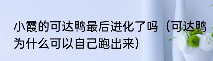 小霞的可达鸭最后进化了吗（可达鸭为什么可以自己跑出来）