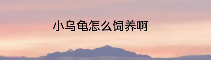 小乌龟怎么饲养啊