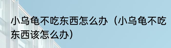 小乌龟不吃东西怎么办（小乌龟不吃东西该怎么办）