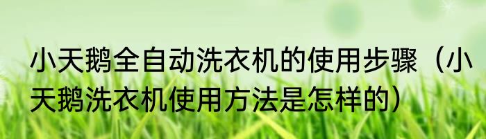 小天鹅全自动洗衣机的使用步骤（小天鹅洗衣机使用方法是怎样的）