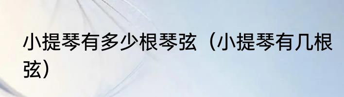 小提琴有多少根琴弦（小提琴有几根弦）