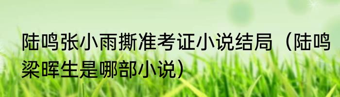 陆鸣张小雨撕准考证小说结局（陆鸣梁晖生是哪部小说）