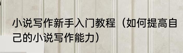 小说写作新手入门教程（如何提高自己的小说写作能力）