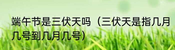 端午节是三伏天吗（三伏天是指几月几号到几月几号）