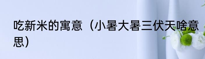 吃新米的寓意（小暑大暑三伏天啥意思）