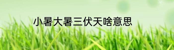 小暑大暑三伏天啥意思