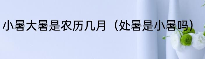 小暑大暑是农历几月（处暑是小暑吗）