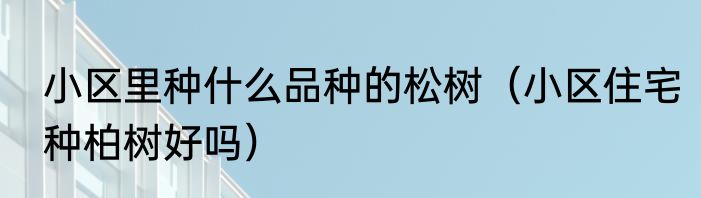 小区里种什么品种的松树（小区住宅种柏树好吗）