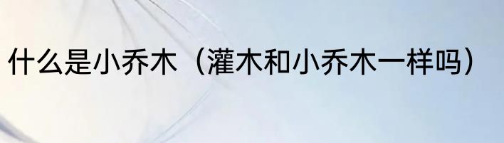 什么是小乔木（灌木和小乔木一样吗）