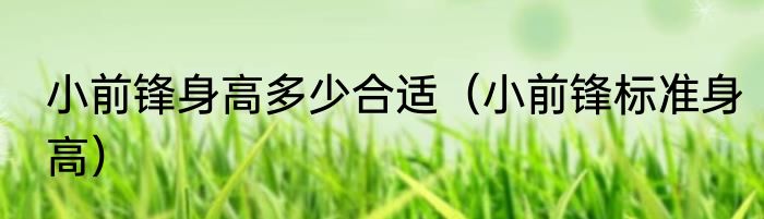 小前锋身高多少合适（小前锋标准身高）