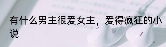有什么男主很爱女主，爱得疯狂的小说