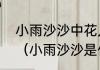 小雨沙沙中花儿用了什么的方法表现（小雨沙沙是什么类型）