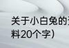 关于小白兔的资料（关于小白兔的资料20个字）