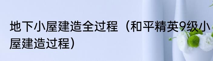 地下小屋建造全过程（和平精英9级小屋建造过程）