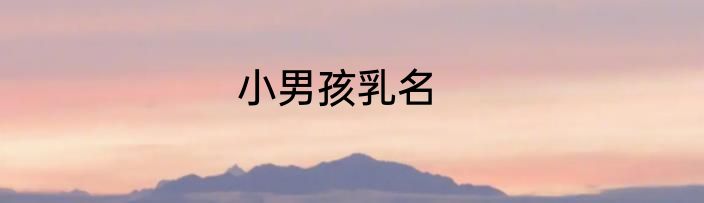 小男孩乳名