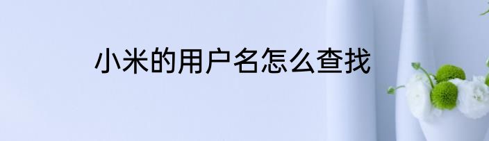 小米的用户名怎么查找