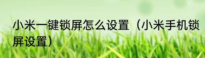 小米一键锁屏怎么设置（小米手机锁屏设置）