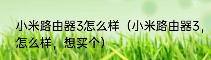 小米路由器3怎么样（小米路由器3，怎么样，想买个）